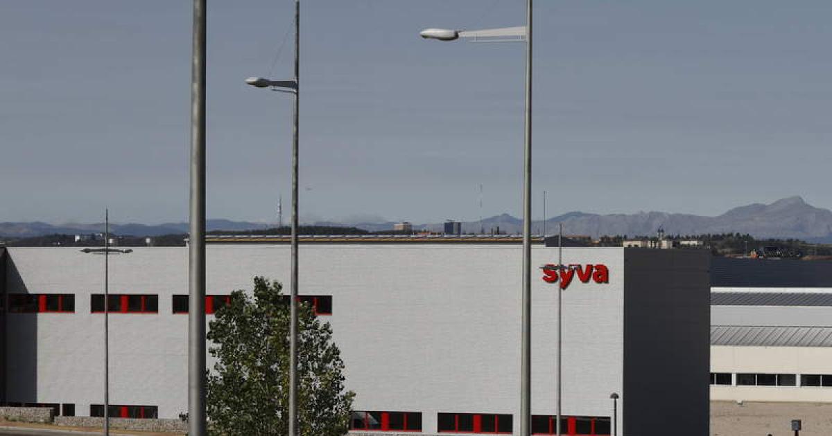 Syvaが開発したワクチンは、オランダでのブルータングの激しい流行と戦う